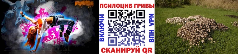 Псилоцибиновые грибы Psilocybine cubensis  закладки  Меленки 